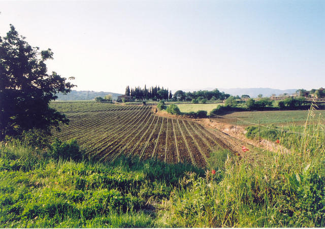 riet molenaar pergine 3