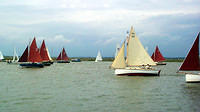 AYC regatta2